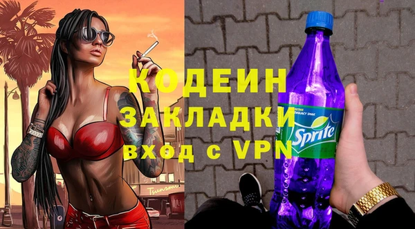 ECSTASY Алзамай