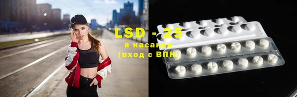 ECSTASY Алзамай