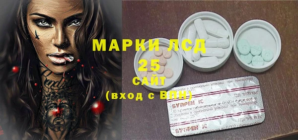 ECSTASY Алзамай