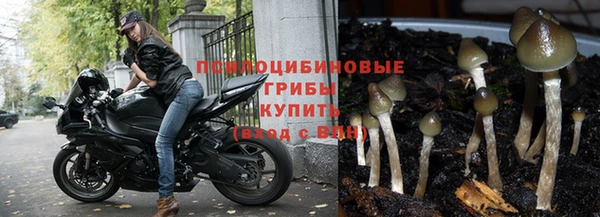 ECSTASY Алзамай